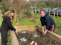Plascrug School boosts biodiversity with wildlife garden