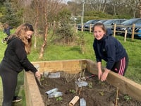 Plascrug School boosts biodiversity with wildlife garden