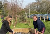 Plascrug School's wildlife garden: boosting biodiversity