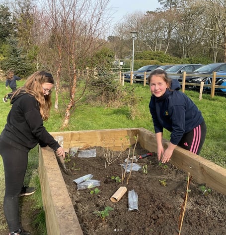 Plascrug School pupils working in the award-winning outdoor space