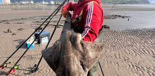Cardigan Bay Coastal fishing report – late spring update