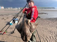 Cardigan Bay Coastal fishing report – late spring update