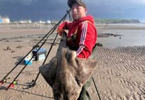 Cardigan Bay Coastal fishing report – late spring update