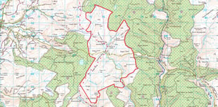 Plans announced to build wind farm near Tregaron