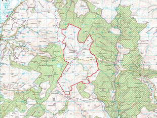 Plans announced to build wind farm near Tregaron