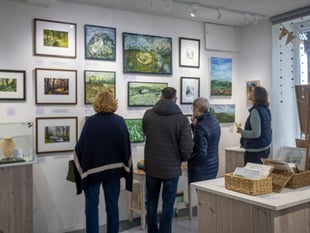 Explore enriching art exhibition at Barmouth's Oriel Tŷ Meirion