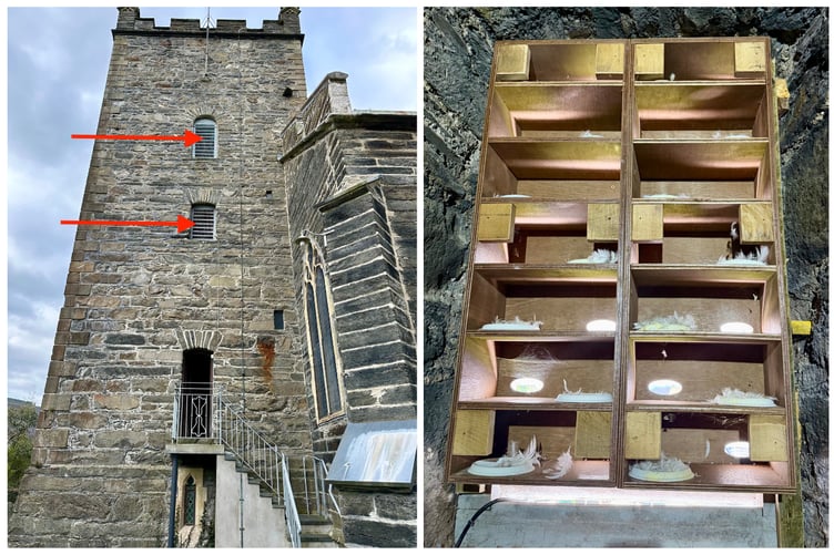 Left, the belfries that now house the swift boxes, right, the swift boxes in place.
