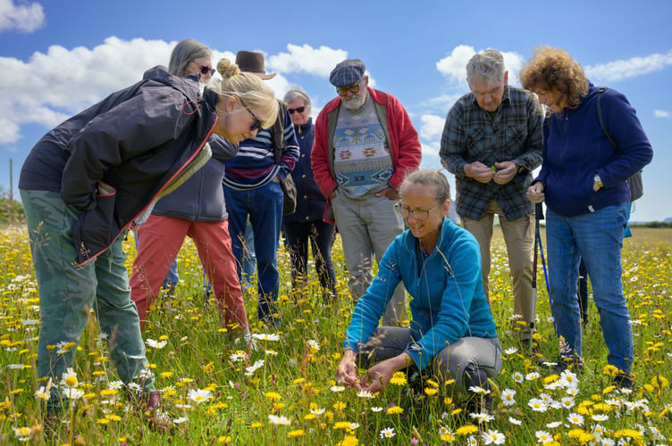 Jo Porter teaching people who are part of the network helping to restore the Llŷn's species-rich meadows. Photo: Gareth Jenkins