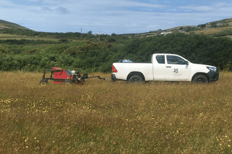 Cwrt Farm has now become a donor site for seeds like yellow rattle, sharing local provenance seeds to nearby depleted sites.