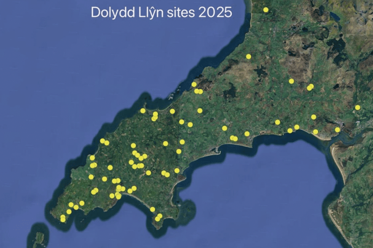 Dolydd Llŷn Meadows network map, showing the sites being restored by people who joined the network.