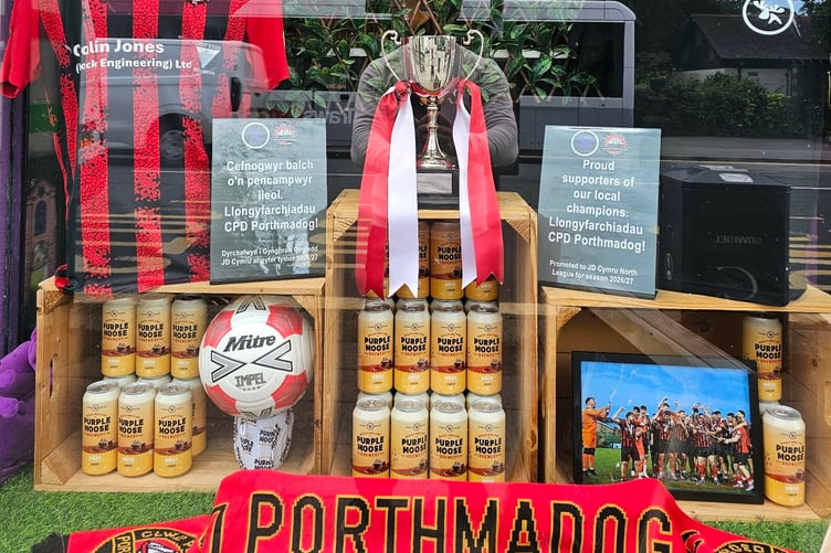 The trophy in the window