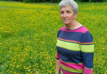 Yr Eisteddfod yn cyhoeddi arweinydd Cymru a'r Byd