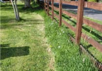 Llandre Park upgrades with new play equipment and biodiversity initiatives