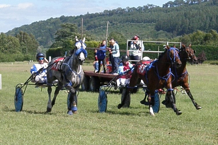 Millstream Art won the second baby novice race