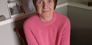Pontrhydygroes poet and artist shares haiku book journey
