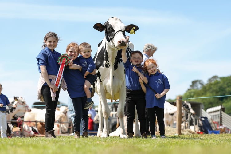 Jenkins Family best dairy. Photo: Evie Tomlinson