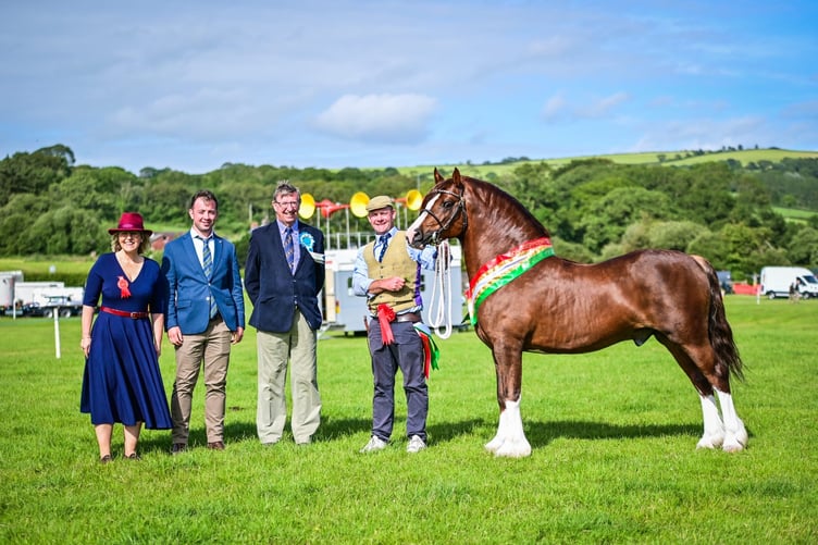 D Dykes Champion Equine. Photo: Celfach Photography