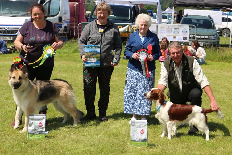 Echo and Keiron CH & RES CH Behaviour, Conformation and condition. Photo: Les Fry