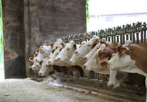 Welsh farmers invited to talk AI and net zero