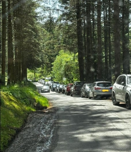 Hafren forest