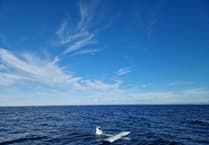 Two rescued after aircraft crash-lands in the sea