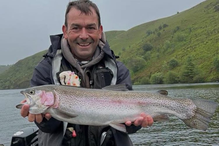 Rainbow trouts are in plentiful supply at Llyn Clywedog and Dinas Reservoir