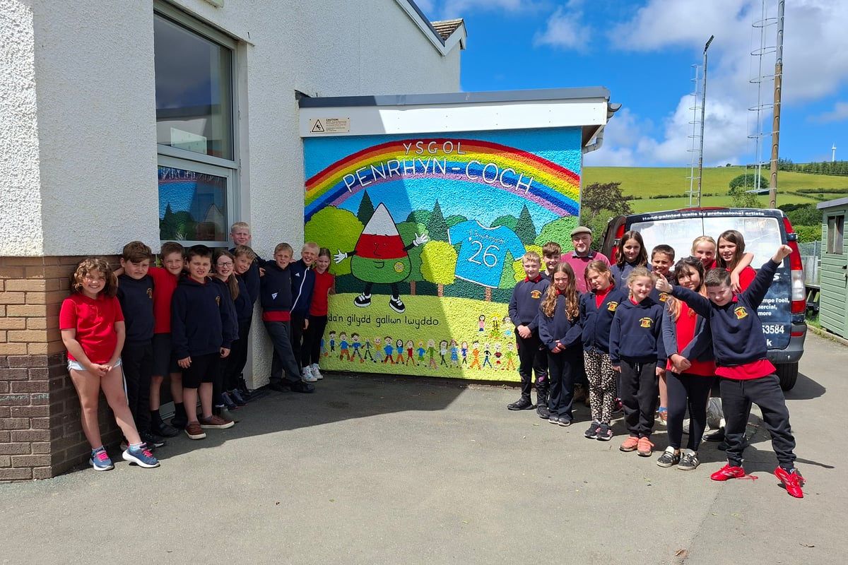 Mural unveiled at Ysgol Penrhyn-coch visual