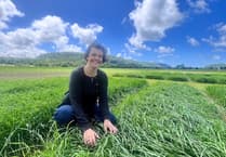 New chair appointed at plant breeding site near Aberystwyth