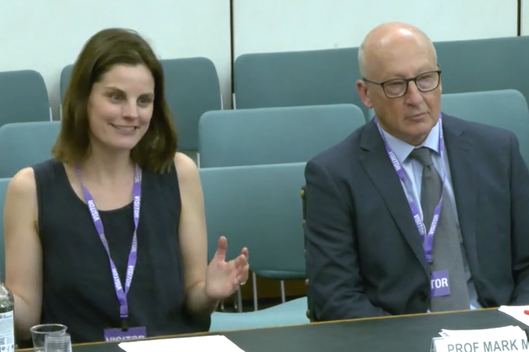 "A nationwide heads-up": Experts urge MPs to address lead contamination causing unknown damage to human health visual
