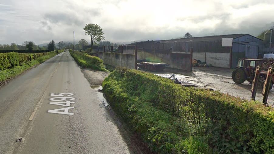 White van driven through herd of cows