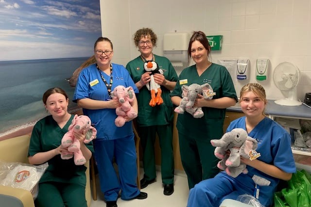 Staff from Meurig Ward with the soft toys