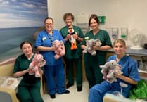 Soft toys for Aberystwyth ward to help children understand bereavement