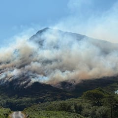 Thousands demand urgent aerial support for 11-day wildfire