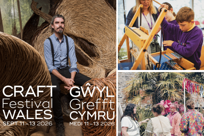 Volunteers are needed for the festival