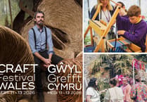 Volunteers needed for Cardigan craft festival