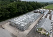 Plans for £50 million innovation park at IBERS gets funding