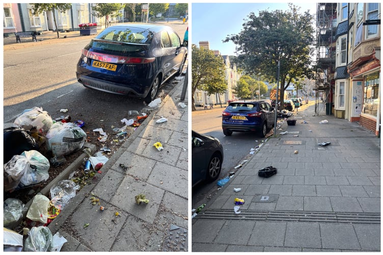 Business owner Jack Potts-Edwards said it's not just the gulls - residents have an equal part to play in the litter problem.