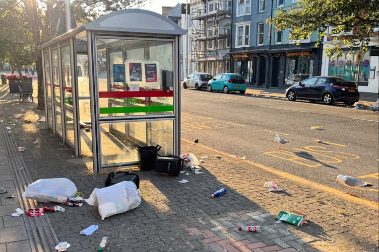Residents and businesses have united in calls for action over the long-term problem of littering gulls. Photo: Aber Outdoors