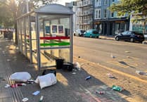 Call for solutions as Aber streets repeatedly hit by littering gulls