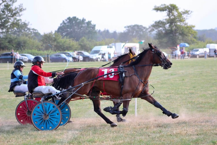 Grade B Final winner Evenwood Itchyfeet