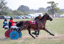 Ludlow hosts memorable return to harness racing