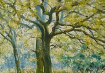 Meirionnydd artists get ready for Dolgellau exhibition