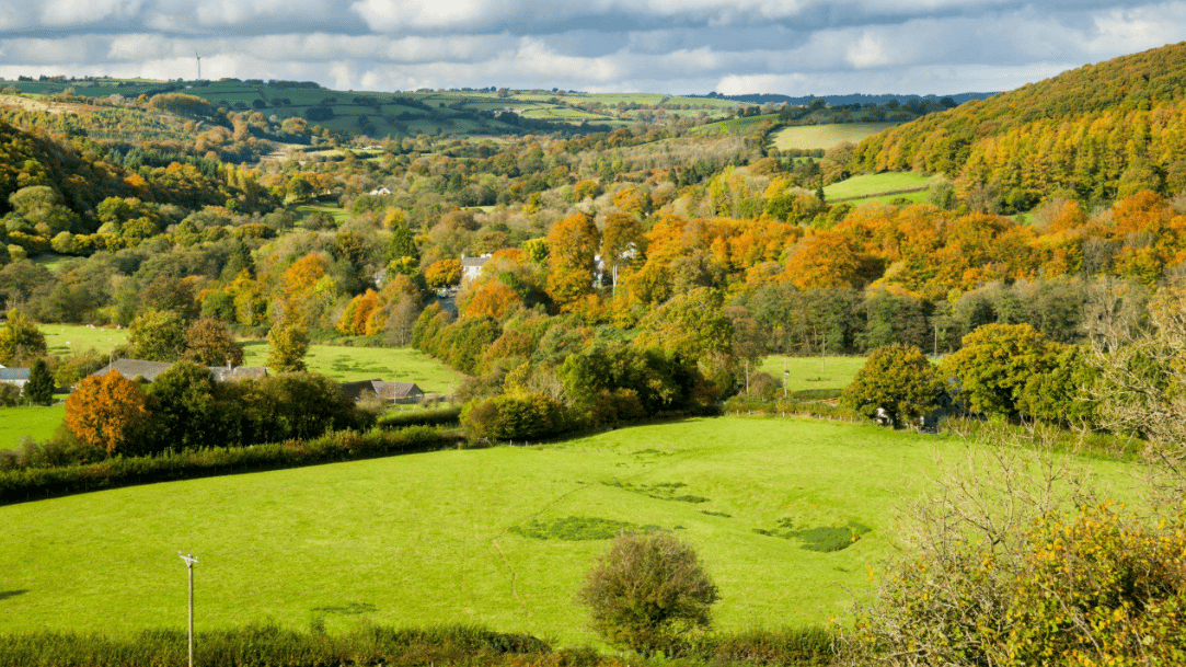 Mid Wales Roman road to be uncovered as part of weekend festival