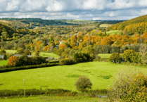 Mid Wales Roman road to be uncovered as part of weekend festival