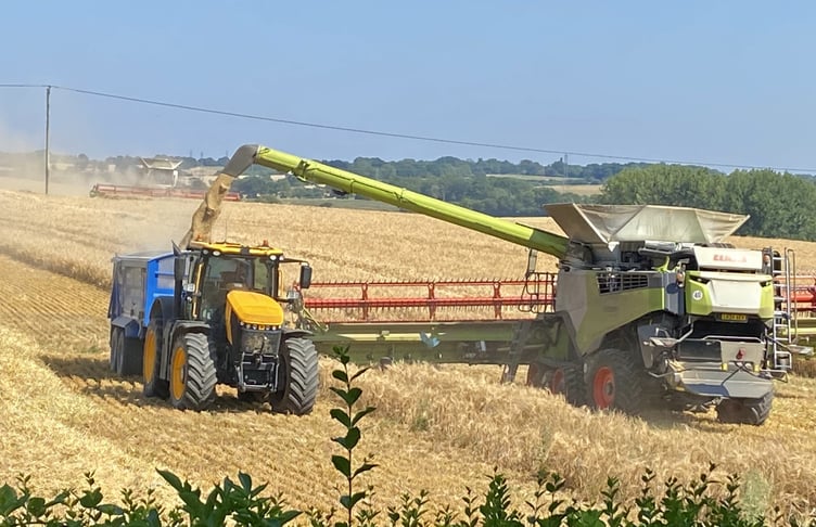 Harvest at Borovere Farm in Alton, July 22nd 2026.