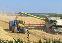 Farmers being offered support to tackle dry summer