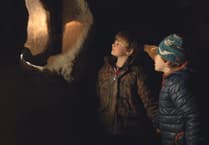 Free event at CAT: Summer Open Day