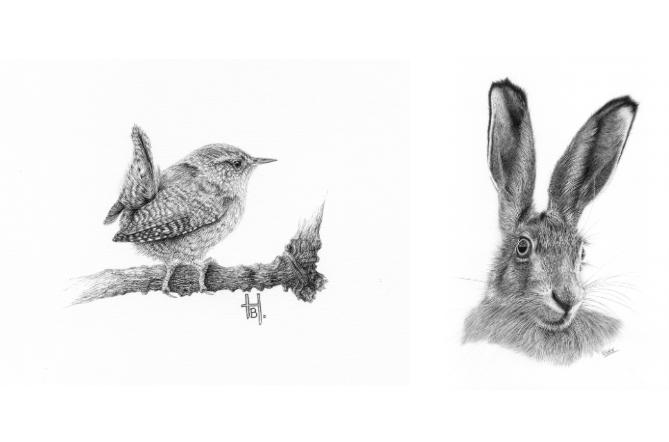 Two of Heather Butler's drawings