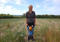 Farmer stays up all night to water crops as heatwave wastes thousands of veg