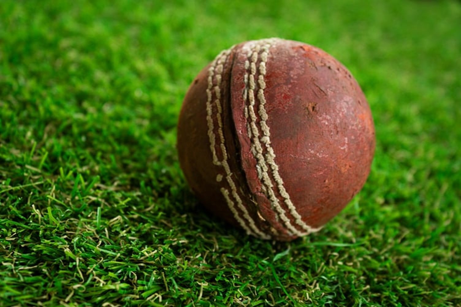 Cricket ball genereic
